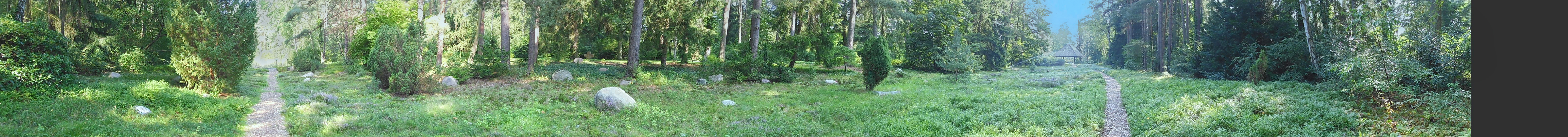 Panorama
