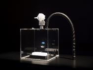 \\intern.celle.de\daten\DEZIII\Fachdienstübergreifend\Kunst&Museen\Kunstmuseum\Ausstellungen\2020 Ausstellungen\2020 Parallel Worlds - Art Science and Fiction\Pressematerial\TLN_Kristof Vrancken4.jpg