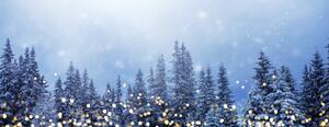 Tannenbaumspitzen mit Schnee