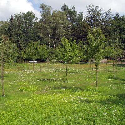 Bild vergrößern: Ribbeck's Garten auf dem Waldfriedhof