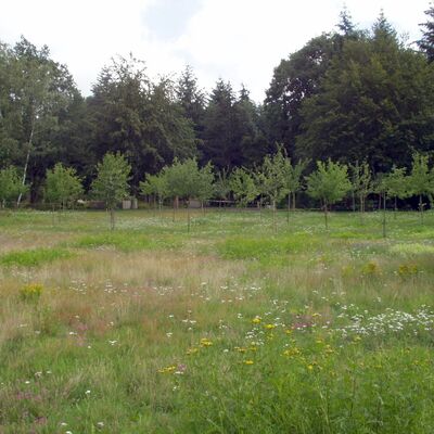 Ribbeck's Garten auf dem Waldfriedhof