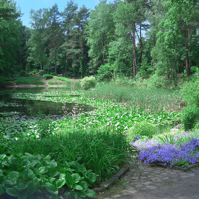 Naturgarten auf dem Waldfriedhof