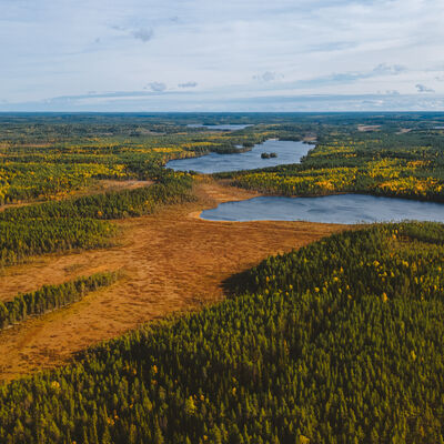 Luftaufnahme des Naturschutzgebietes Aulanko in Hämeenlinna, Finnland