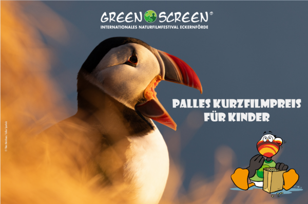 Bild vergr&ouml;&szlig;ern: GREEN SCREEN