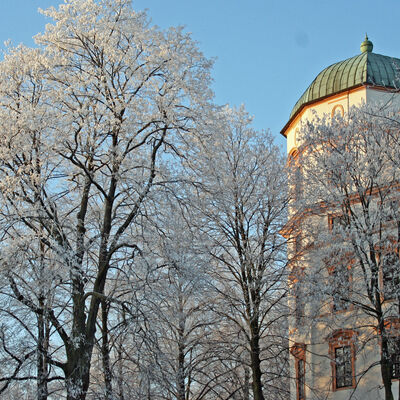 Bäume vor dem Celler Schloss im Winter